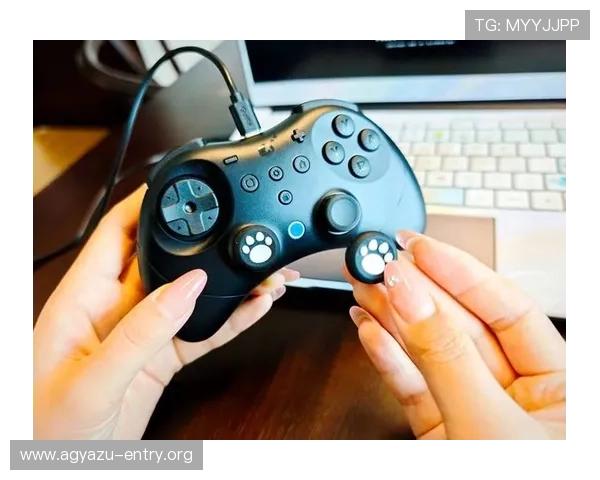 探索ag竞咪厅全站登录安全保障措施，确保用户账户信息安全与游戏体验顺畅